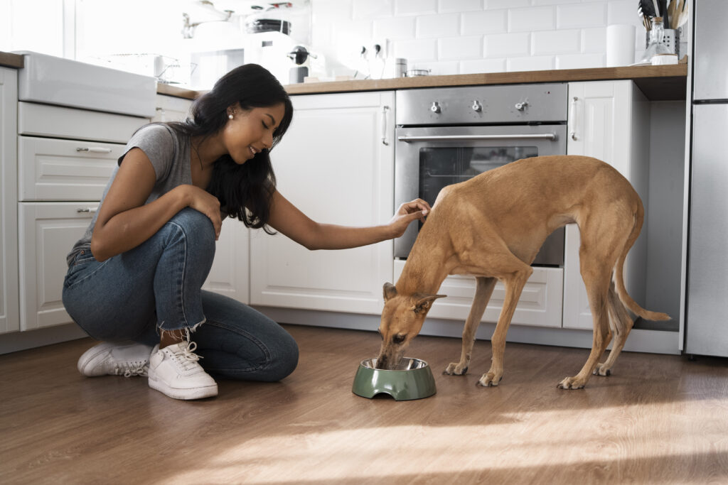 The Complete Guide to Pet Food: Selecting the Best Food for Your Animal Companion