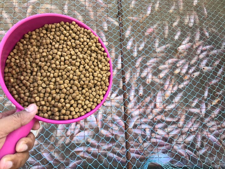 fish mineral mixture
