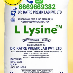 L Lysine